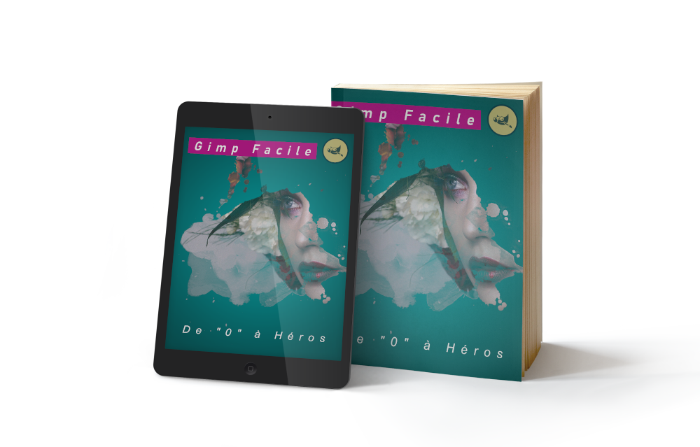 Gimp facile cours1